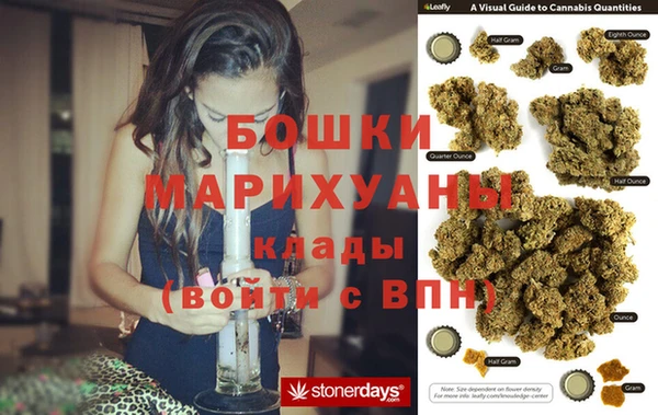 spice Аша