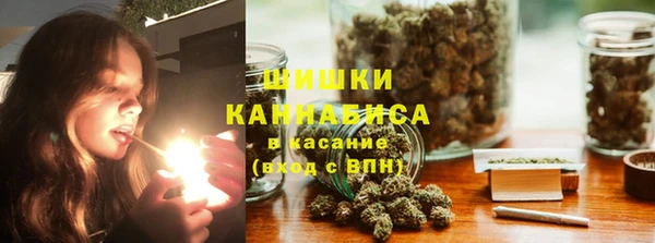 spice Аша