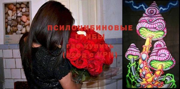 стаф Бабаево