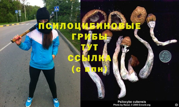 СК Ахтубинск