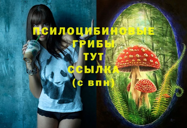 стаф Бабаево