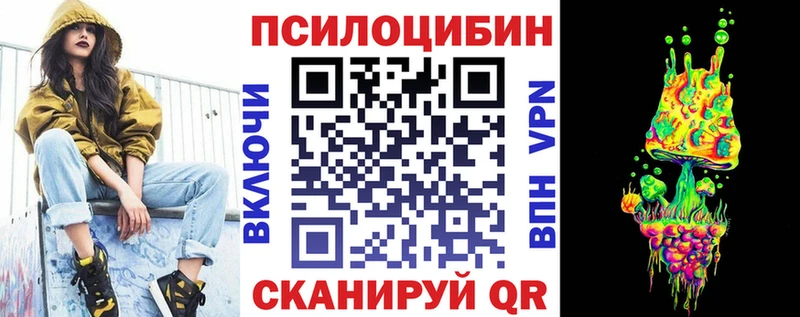 Галлюциногенные грибы мицелий  купить   Камызяк 