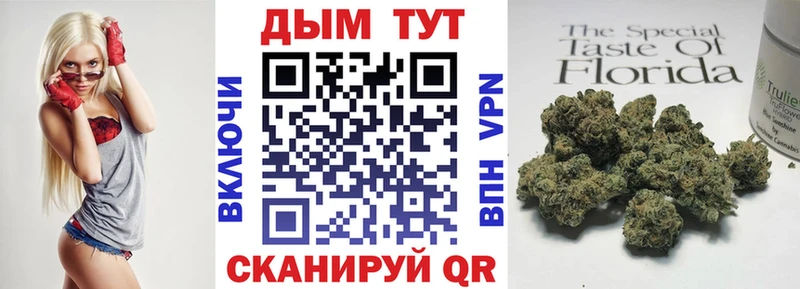 Каннабис VHQ  как найти закладки  Камызяк 